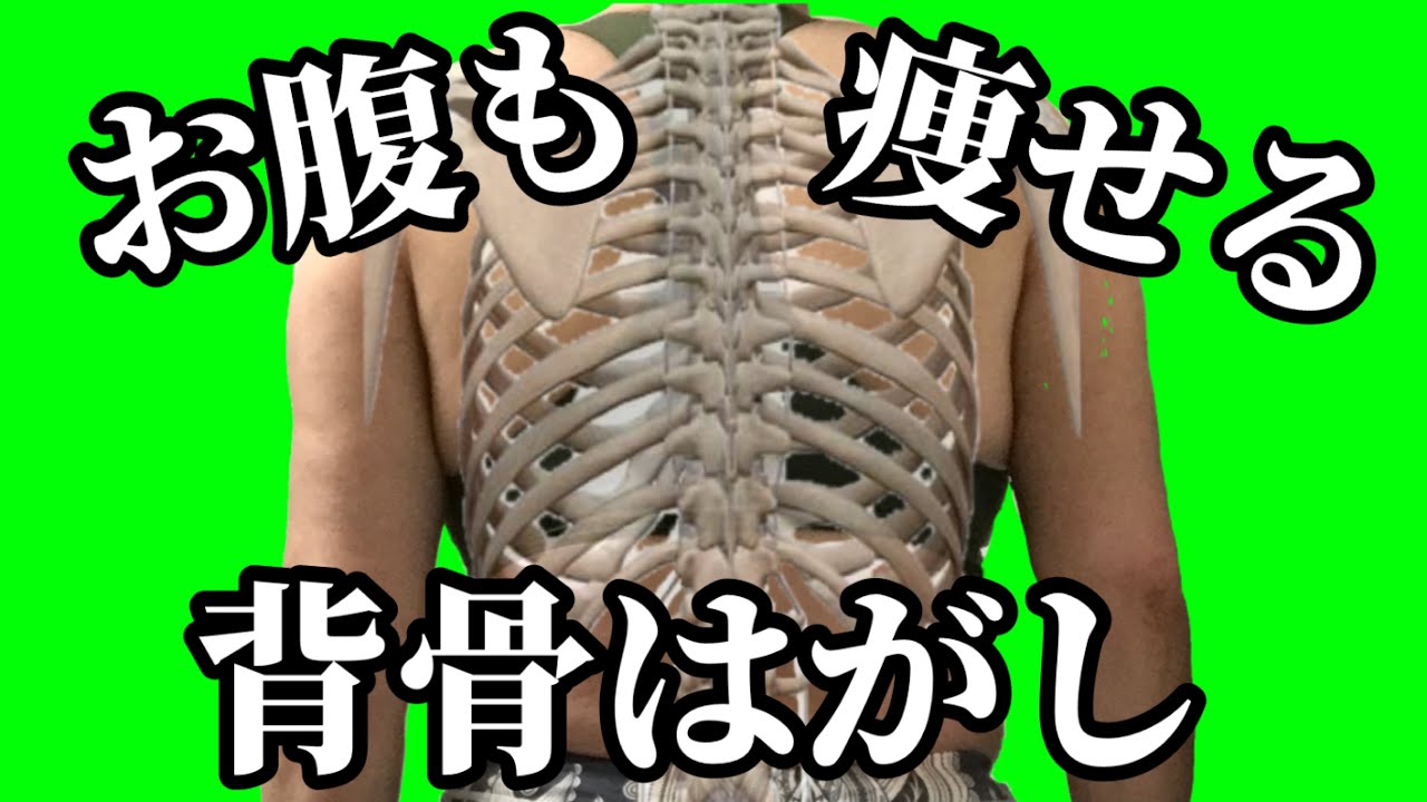 【50代60代】背骨の老化は太る原因‼️背中を動かせば今すぐ痩せます✨ img